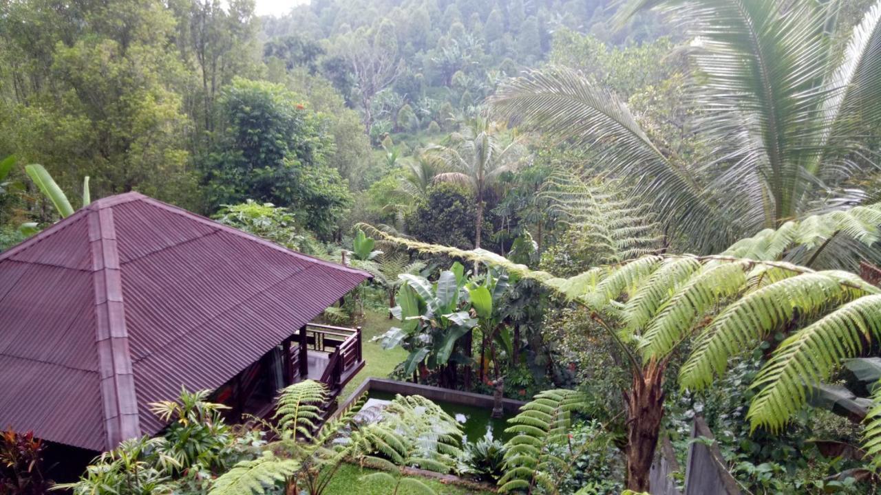 فندق Bintang Munduk المظهر الخارجي الصورة